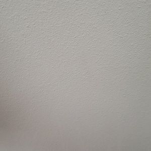 Meet your Posher, Bonnie